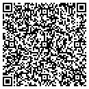 QR code with PSI Express contacts
