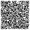 QR code with J Cats contacts