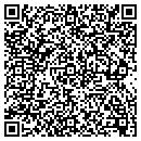 QR code with Putz Computers contacts