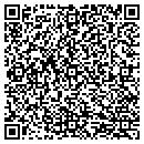 QR code with Castle Collections Inc contacts