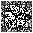 QR code with Pyles Of Smiles Inc contacts