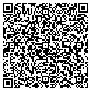 QR code with Premire Nails contacts
