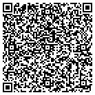 QR code with Blizzard Digital Corp contacts