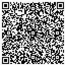 QR code with Blue Streak Computers contacts