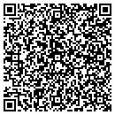 QR code with Cedartown Computers contacts