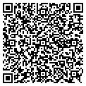 QR code with Sedans contacts
