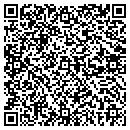 QR code with Blue Ridge Hydraulics contacts