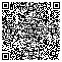 QR code with A Floors contacts