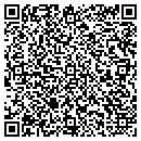 QR code with Precision Paving LLC contacts