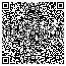 QR code with Professional Paving Inc contacts
