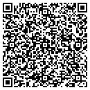 QR code with Pullman Express Inc contacts