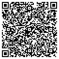 QR code with T Line contacts