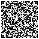 QR code with Professional contacts