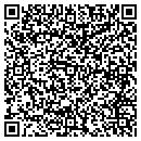 QR code with Britt Anne DVM contacts