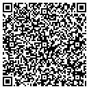 QR code with Carter Art & Framing contacts
