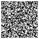 QR code with Premier Furniture LLC contacts