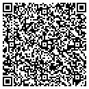 QR code with Professional Security contacts