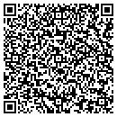 QR code with Punctual Pickups contacts