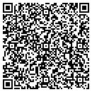 QR code with Pro Computer Service contacts