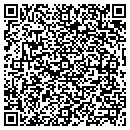 QR code with Psion Tekolgix contacts