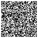 QR code with Precision Craft contacts