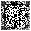 QR code with Aig contacts