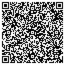 QR code with Pursuit Software contacts