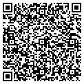 QR code with Amgen contacts