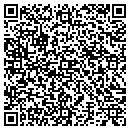 QR code with Cronin & Associates contacts