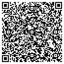 QR code with Chynesky Seal Coating contacts