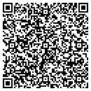QR code with Public Media Network contacts