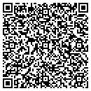 QR code with Cyclone Ridge Kennels contacts