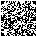 QR code with Capts Networks LLC contacts