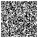 QR code with Professional Paving contacts