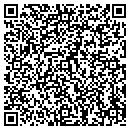 QR code with Borroughs Corp contacts