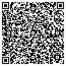 QR code with Bayesian Systems Inc contacts