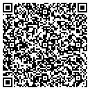 QR code with Pulsar Investigations contacts