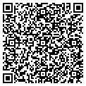 QR code with V Nails contacts
