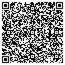 QR code with Pro Pdr Solutions Inc contacts