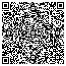 QR code with Premier Shuttle LLC contacts