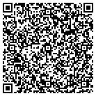 QR code with Pulse Communications Inc contacts