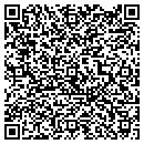 QR code with carver paving contacts