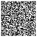 QR code with Protek International contacts