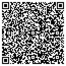 QR code with Clueless Computer Inc contacts