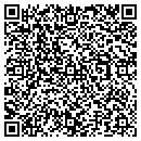 QR code with Carl's Mica Designs contacts