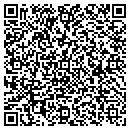QR code with Cji Construction Inc contacts