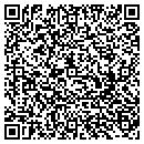 QR code with Puccinelli Design contacts