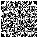 QR code with Private Solutions Inc contacts