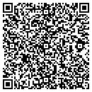 QR code with Premier Investigations contacts