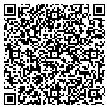 QR code with Allred contacts